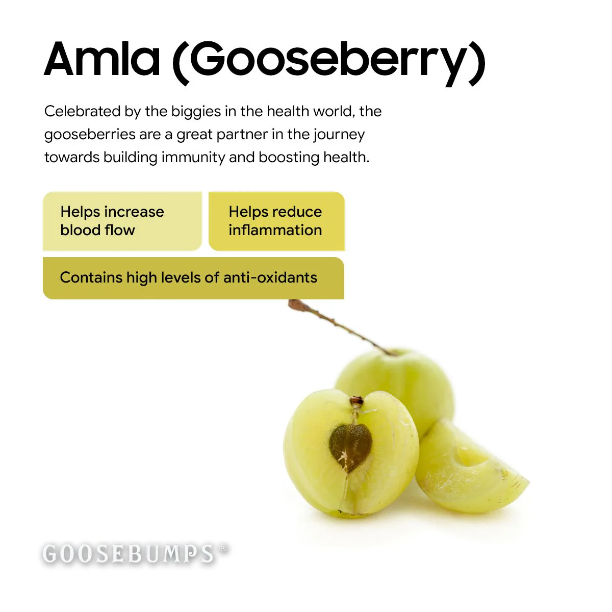 Goosebumps Masala Amla | Dried Gooseberry | Dehydrated Fruit | Chatpata Honey Amla Healthy Snack for Kids and Adults | 150 GMS - Image 4