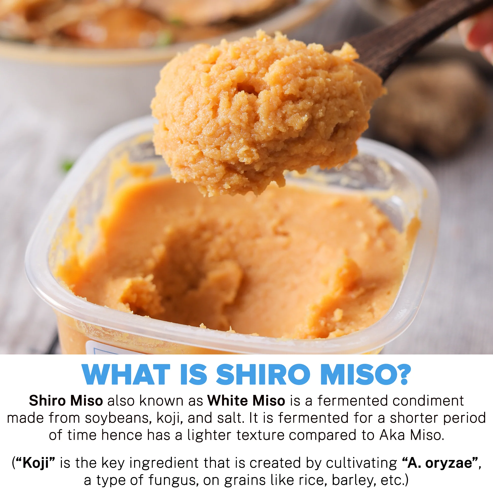 Shiro Miso Paste, 1kg (Light Miso | Fermented Soybean Paste | Preservative-Free | Mild Umami Flavor) - Image 2