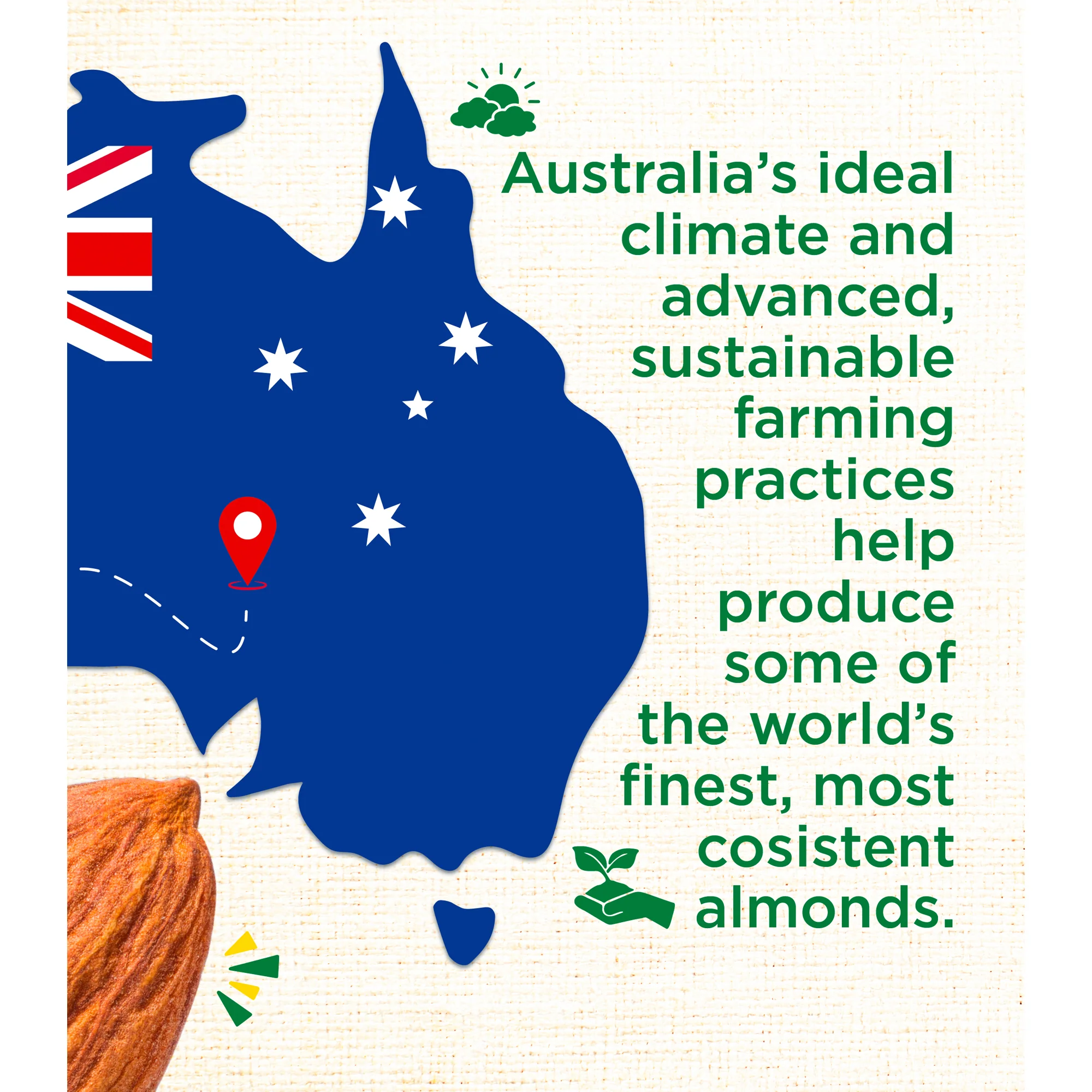 Australian Almonds, 250g (Fresh, Crunchy, Carefully Sourced for Daily Wellness) - Image 7