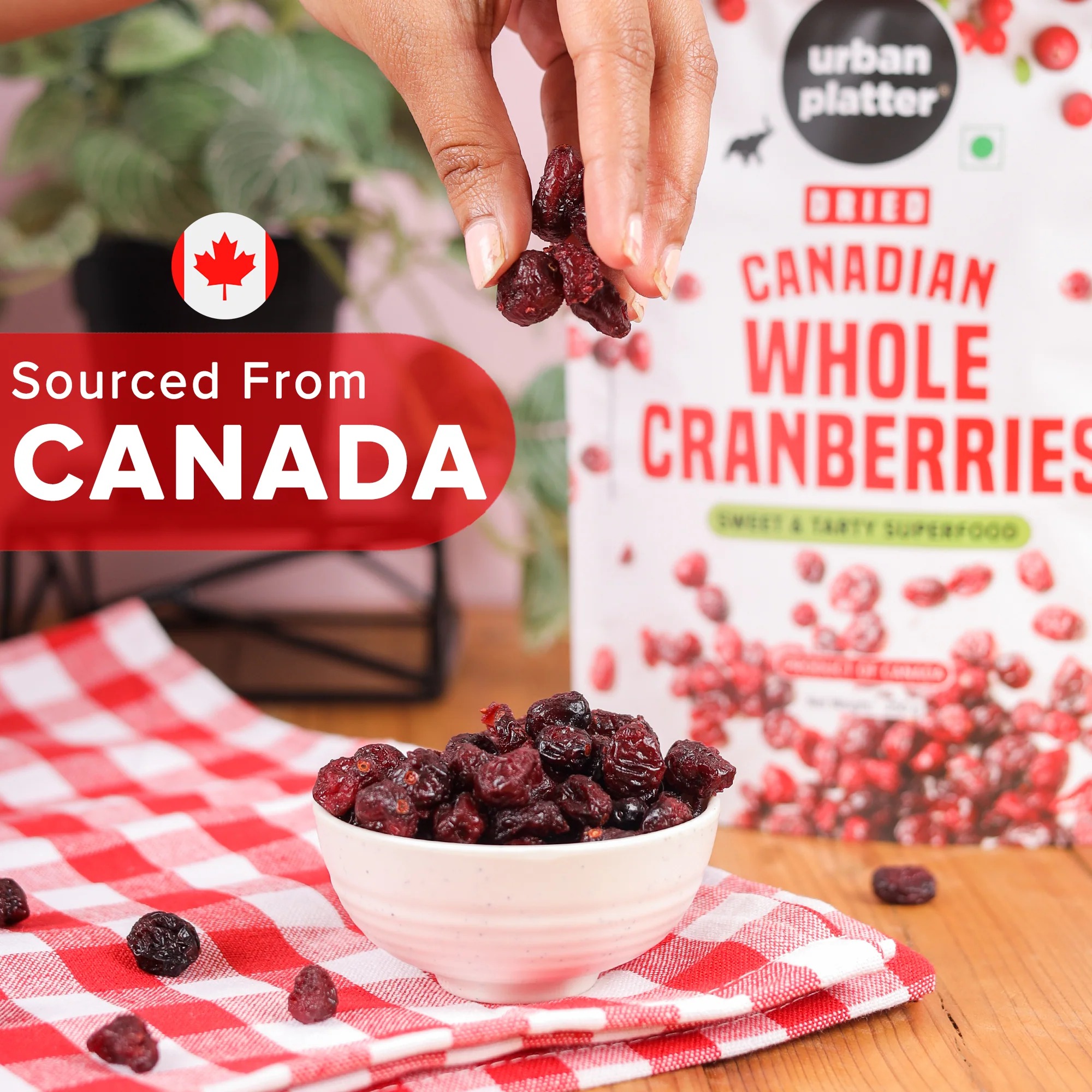 Dried Canadian Whole Cranberry, 250g (Dried Fruit Berries | Snack Pack | Sweet & Tarty) - Image 3