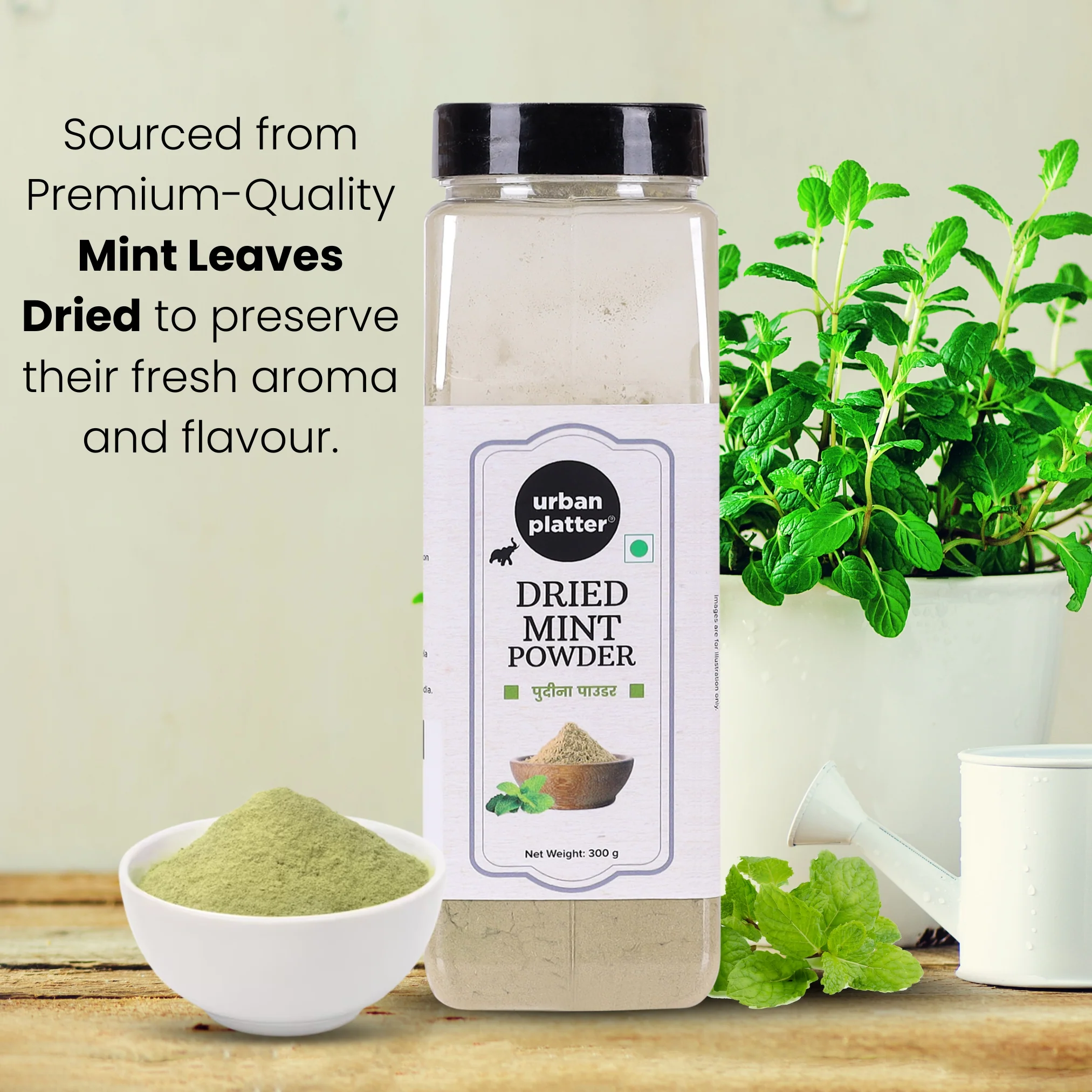 Dried Mint (Pudina) Powder, 300g - Image 7