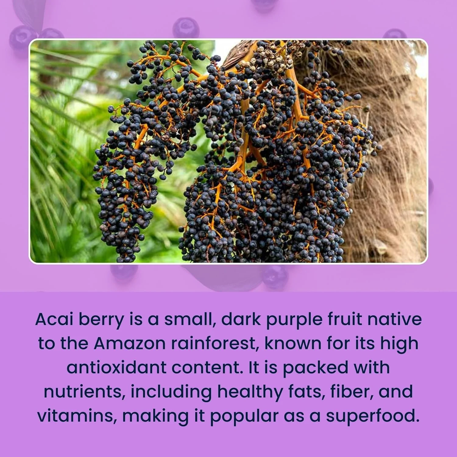 Freeze-dried Acai Berry Powder, 30g (Brazilian Superfood | Rich in Antioxidants | Perfect for Smoothies & Bowls) - Image 7