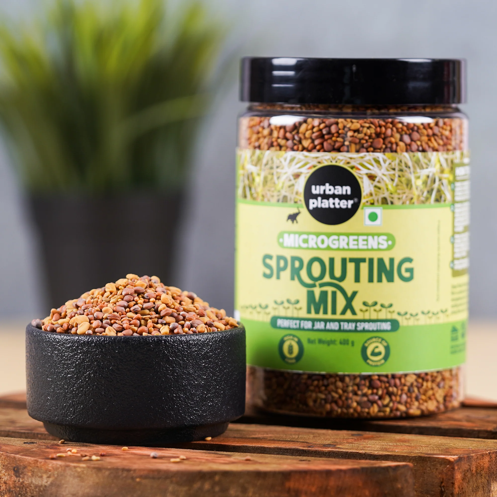 Microgreens Sprouting Mix, 400g (Clover, Radish, Fenugreek & Alfalfa Seeds Mix) - Image 5