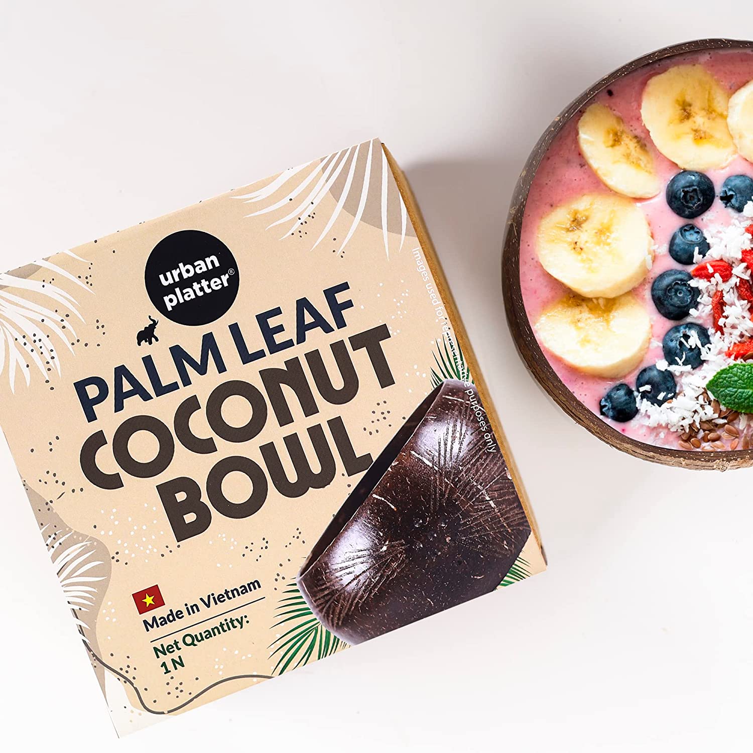 Palm Leaf Coconut Bowl, 1 Unit (Made in Vietnam | Light Weight | Jumbo Size | Eco-friendly) - Image 5