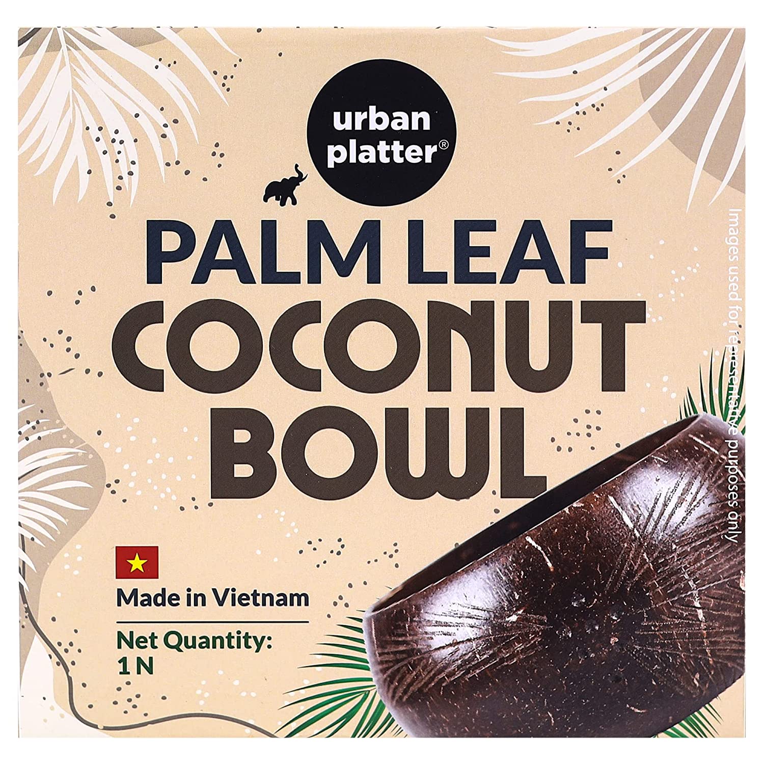 Palm Leaf Coconut Bowl, 1 Unit (Made in Vietnam | Light Weight | Jumbo Size | Eco-friendly) - Image 7