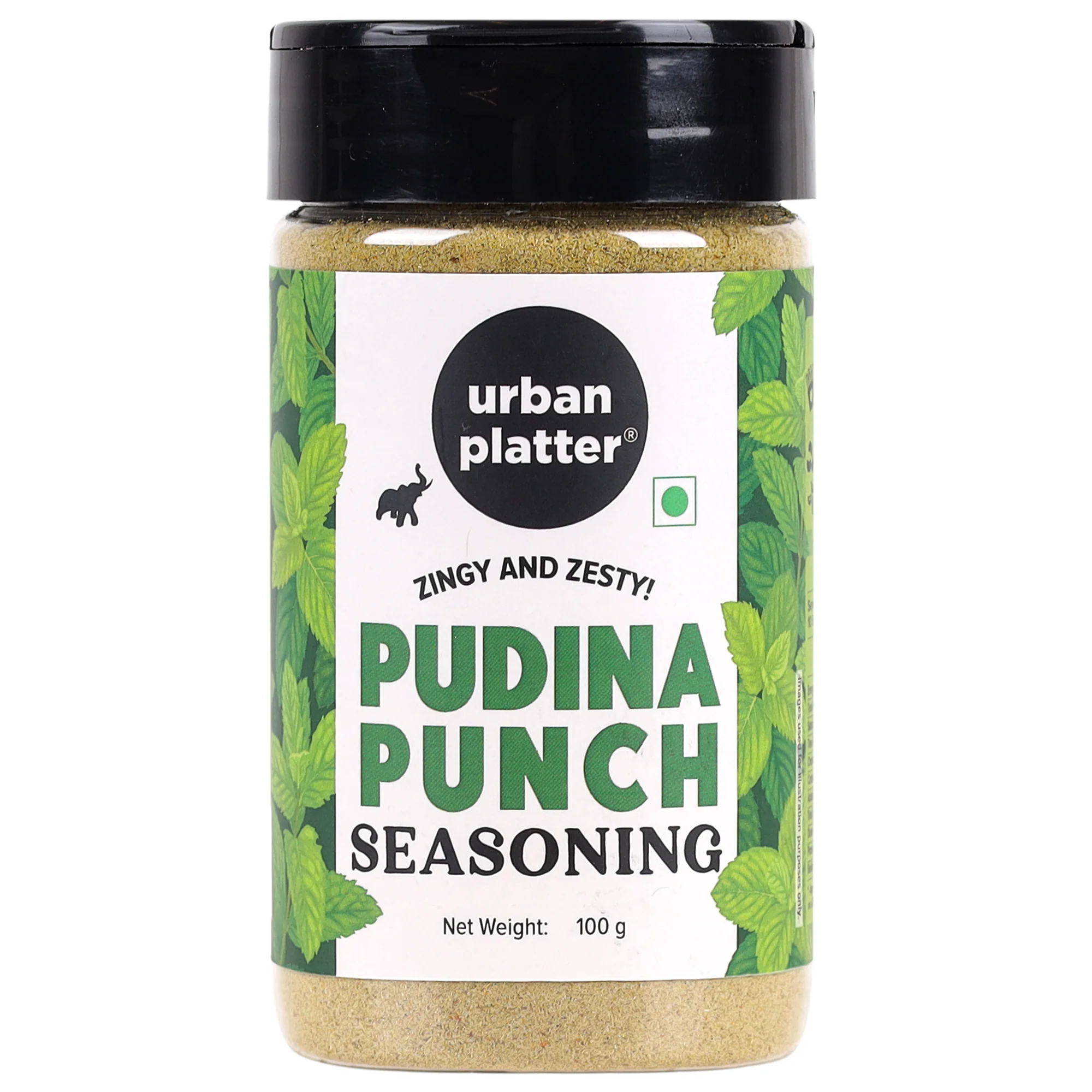 Pudina Punch Seasoning, 100g (Refreshing Minty Blend | Great for Fries, Popcorn, Makhanas & Salads)